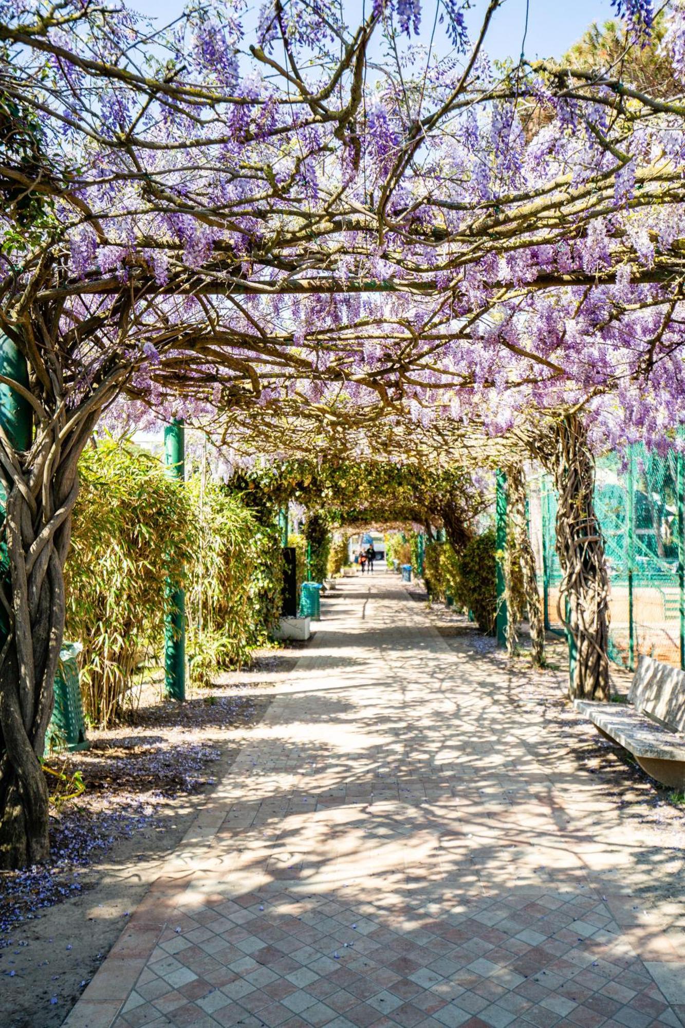 Marepineta Resort Μιλάνο Μαριτίμα Εξωτερικό φωτογραφία